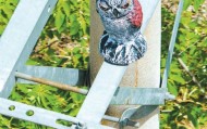 武汉：50多只“猫头鹰”在电塔上“站岗” 提醒鸟儿别靠近