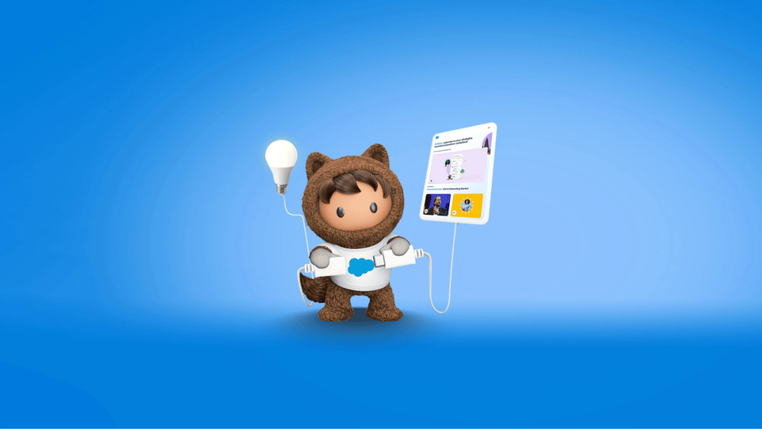 Salesforce开发入门指南：零基础学习宝典！