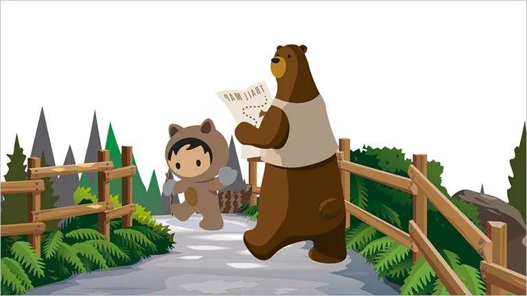 Salesforce开发入门指南：零基础学习宝典！