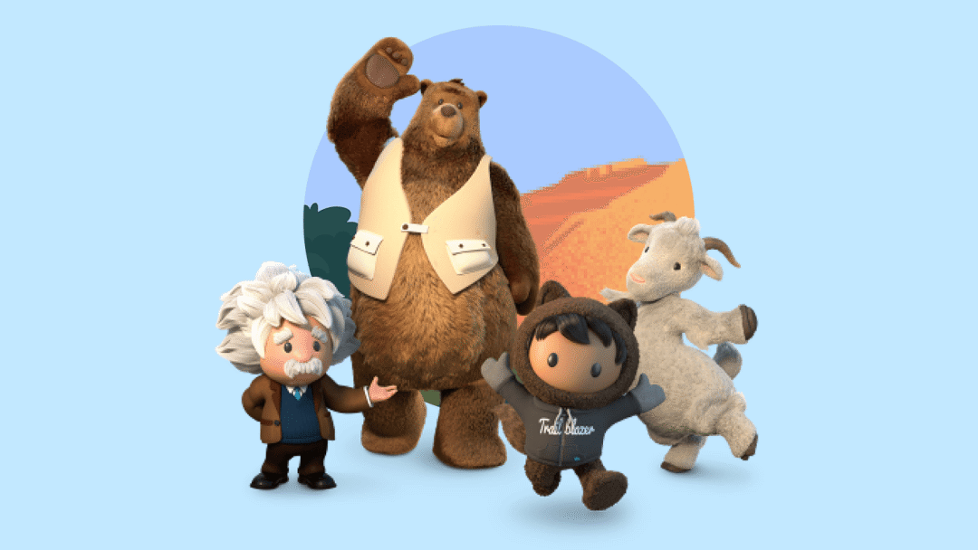 Salesforce开发入门指南：零基础学习宝典！